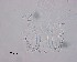  ( - 120614-12-1-1-5)  @11 [ ] CreativeCommons - Attribution Non-Commercial Share-Alike (2017) Unspecified Norwegian Veterinary Institute