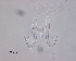  ( - 120614-8-1-1-1)  @11 [ ] CreativeCommons - Attribution Non-Commercial Share-Alike (2017) Unspecified Norwegian Veterinary Institute