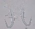  ( - 15-17-982-1)  @11 [ ] CreativeCommons - Attribution Non-Commercial Share-Alike (2017) Unspecified Norwegian Veterinary Institute