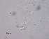  ( - 15-17-984-4)  @11 [ ] CreativeCommons - Attribution Non-Commercial Share-Alike (2017) Unspecified Norwegian Veterinary Institute