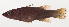  ( - MOOP-044)  @11 [ ] CreativeCommons  Attribution Non-Commercial (by-nc) (2008) Unspecified Smithsonian Institution National Museum of Natural History