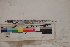  ( - MOP110050)  @11 [ ] CreativeCommons - Attribution Non-Commercial (2011) Smithsonian Institution Smithsonian Institution