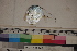  ( - MOP110146)  @11 [ ] CreativeCommons - Attribution Non-Commercial (2011) Smithsonian Institution Smithsonian Institution