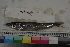  ( - MOP110310)  @11 [ ] CreativeCommons - Attribution Non-Commercial (2011) Smithsonian Institution Smithsonian Institution