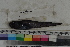  ( - MOP110339)  @11 [ ] CreativeCommons - Attribution Non-Commercial (2011) Smithsonian Institution Smithsonian Institution