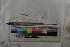  ( - MOP110624)  @11 [ ] CreativeCommons - Attribution Non-Commercial (2011) Smithsonian Institution Smithsonian Institution