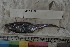  ( - MOP110751)  @11 [ ] CreativeCommons - Attribution Non-Commercial (2011) Smithsonian Institution Smithsonian Institution