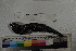  ( - MOP110768)  @11 [ ] CreativeCommons - Attribution Non-Commercial (2011) Smithsonian Institution Smithsonian Institution