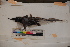  ( - MOP110069)  @11 [ ] CreativeCommons - Attribution Non-Commercial (2011) Smithsonian Institution Smithsonian Institution