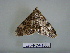  ( - LEP-RCA-1000)  @13 [ ] CreativeCommons - Attribution Non-Commercial Share-Alike (2012) J.LORET ECODIV