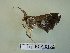  ( - LEP-RCA-0132)  @12 [ ] CreativeCommons - Attribution Non-Commercial Share-Alike (2012) J.LORET ECODIV