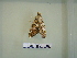  ( - LEP-RCA-0351)  @12 [ ] CreativeCommons - Attribution Non-Commercial Share-Alike (2012) J.LORET ECODIV