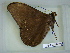  ( - LEP-RCA-0616)  @12 [ ] CreativeCommons - Attribution Non-Commercial Share-Alike (2012) J.LORET ECODIV