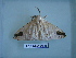  ( - LEP-RCA-0828)  @12 [ ] CreativeCommons - Attribution Non-Commercial Share-Alike (2012) J.LORET ECODIV