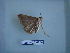  ( - LEP-RCA-0844)  @12 [ ] CreativeCommons - Attribution Non-Commercial Share-Alike (2012) J.LORET ECODIV