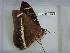  ( - LEP-RCA-0928)  @13 [ ] CreativeCommons - Attribution Non-Commercial Share-Alike (2012) J.LORET ECODIV