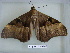  ( - LEP-RCA-0929)  @11 [ ] CreativeCommons - Attribution Non-Commercial Share-Alike (2012) J.LORET ECODIV
