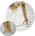  ( - CIEC-Cat-12-16)  @11 [ ] Copyright (2017) CIEC Centro de Investigaciones Entomológicas de Córdoba