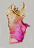  ( - CIEC-Ju-14-13)  @11 [ ] Copyright (2017) CIEC Centro de Investigaciones Entomológicas de Córdoba