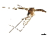  ( - SSAPU-MOS-0034)  @13 [ ] CreativeCommons - Attribution (2019) CBG Photography Group Centre for Biodiversity Genomics