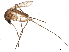  ( - SSAPU-MOS-0054)  @11 [ ] CreativeCommons - Attribution (2019) CBG Photography Group Centre for Biodiversity Genomics