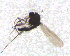  ( - BIM_TS_00045)  @12 [ ] CreativeCommons - Attribution (2010) Unspecified Centre for Biodiversity Genomics
