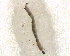  ( - BIM_TS_00154)  @12 [ ] CreativeCommons - Attribution (2010) Unspecified Centre for Biodiversity Genomics