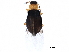 ( - BIOUG34205-D01)  @14 [ ] CreativeCommons - Attribution (2017) CBG Photography Group Centre for Biodiversity Genomics
