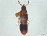  ( - BIOUG34213-F08)  @11 [ ] CreativeCommons - Attribution (2022) CBG Photography Group Centre for Biodiversity Genomics
