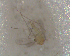  ( - UFSCAR FL-00020)  @12 [ ] CreativeCommons - Attribution (2010) Unspecified Centre for Biodiversity Genomics