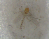  ( - UFSCAR FL-00021)  @12 [ ] CreativeCommons - Attribution (2010) Unspecified Centre for Biodiversity Genomics