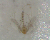  ( - UFSCAR FL-00023)  @12 [ ] CreativeCommons - Attribution (2010) Unspecified Centre for Biodiversity Genomics