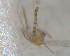  ( - UFSCAR FL-00024)  @12 [ ] CreativeCommons - Attribution (2010) Unspecified Centre for Biodiversity Genomics