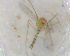  ( - UFSCAR FL-00034)  @12 [ ] CreativeCommons - Attribution (2010) Unspecified Centre for Biodiversity Genomics