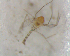  ( - UFSCAR FL-00038)  @12 [ ] CreativeCommons - Attribution (2010) Unspecified Centre for Biodiversity Genomics