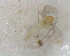  ( - UFSCAR FL-00043)  @12 [ ] CreativeCommons - Attribution (2010) Unspecified Centre for Biodiversity Genomics