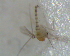  ( - UFSCAR FL-00050)  @12 [ ] CreativeCommons - Attribution (2010) Unspecified Centre for Biodiversity Genomics