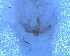  ( - UFSCAR FL-00091)  @12 [ ] CreativeCommons - Attribution (2010) Unspecified Centre for Biodiversity Genomics