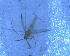  ( - UFSCAR FL-00095)  @12 [ ] CreativeCommons - Attribution (2010) Unspecified Centre for Biodiversity Genomics