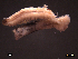  ( - SFP21-002)  @12 [ ] Unspecified (default): All Rights Reserved  Unspecified Unspecified