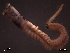  ( - SFP21-003)  @12 [ ] Unspecified (default): All Rights Reserved  Unspecified Unspecified