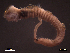  ( - SFP21-004)  @12 [ ] Unspecified (default): All Rights Reserved  Unspecified Unspecified