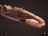  ( - SFP21-005)  @12 [ ] Unspecified (default): All Rights Reserved  Unspecified Unspecified