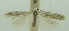  ( - BIDZ-00031)  @11 [ ] Copyright (2012) Aleksei Bidzilya University of Kiev, Ukraine