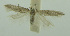  ( - BIDZ-00032)  @11 [ ] Copyright (2012) Aleksei Bidzilya University of Kiev, Ukraine