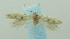  ( - BIDZ-00058)  @11 [ ] Copyright (2012) Aleksei Bidzilya University of Kiev, Ukraine