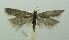  ( - BIDZ-00078)  @11 [ ] Copyright (2012) Aleksei Bidzilya University of Kiev, Ukraine
