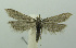  ( - BIDZ-00079)  @11 [ ] Copyright (2012) Aleksei Bidzilya University of Kiev, Ukraine