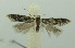  ( - BIDZ-00100)  @11 [ ] Copyright (2012) Aleksei Bidzilya University of Kiev, Ukraine