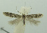  ( - BIDZ-00101)  @11 [ ] Copyright (2012) Aleksei Bidzilya University of Kiev, Ukraine